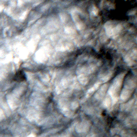 Sentinel-2 L2A 2026-10-24T18:35:08.019000+00:00