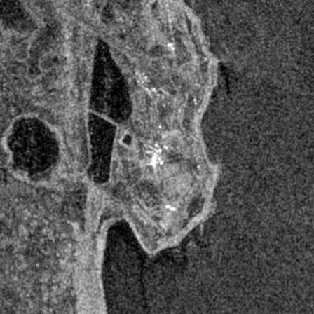 Sentinel-1 RTC 2026-10-24T22:50:00.876663+00:00