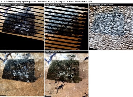 RWI-HC-003-P2-DECODEDELTA1 plate M1_optical_month